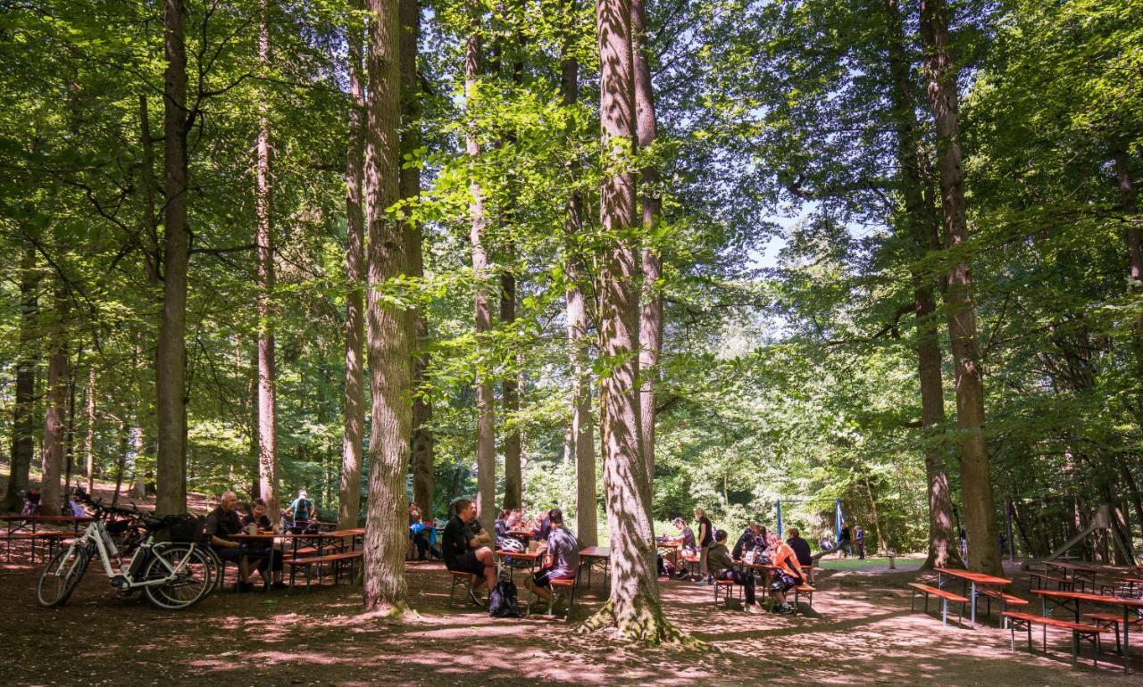 Brauereigasthof Zum Loewenbraeu Adelsdorf Exterior foto